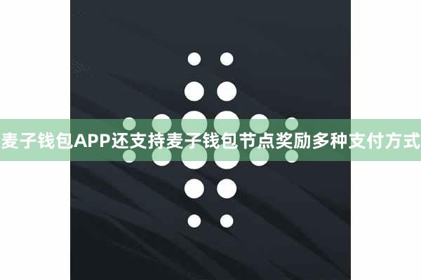 麦子钱包APP还支持麦子钱包节点奖励多种支付方式
