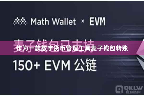作为一款数字货币管理工具麦子钱包转账