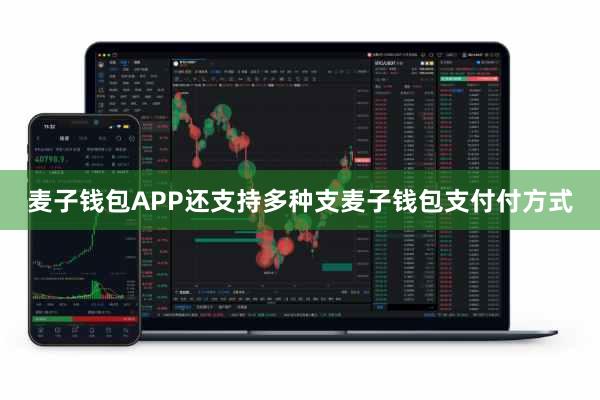 麦子钱包APP还支持多种支麦子钱包支付付方式