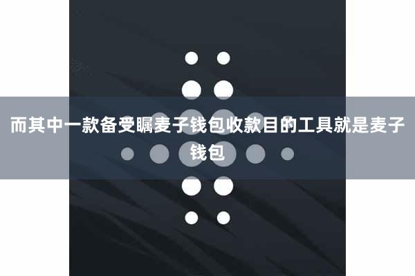 而其中一款备受瞩麦子钱包收款目的工具就是麦子钱包