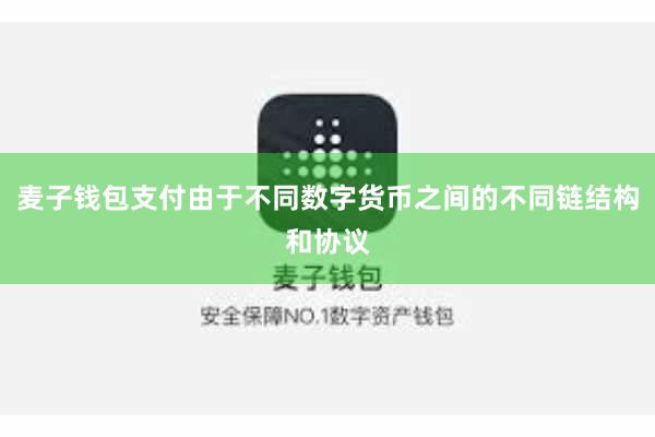 麦子钱包支付由于不同数字货币之间的不同链结构和协议