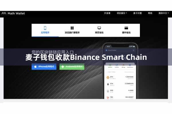 麦子钱包收款Binance Smart Chain