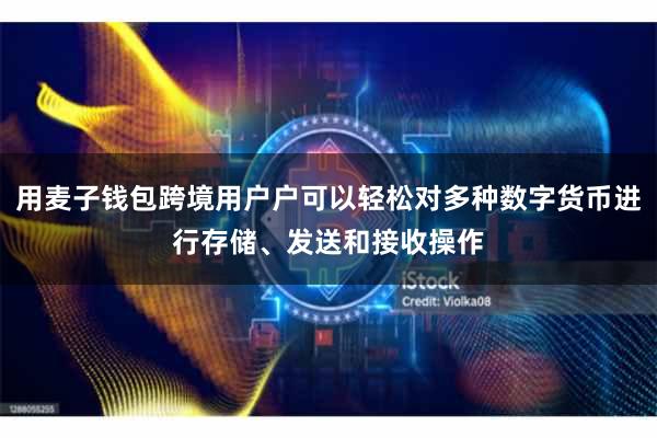 用麦子钱包跨境用户户可以轻松对多种数字货币进行存储、发送和接收操作