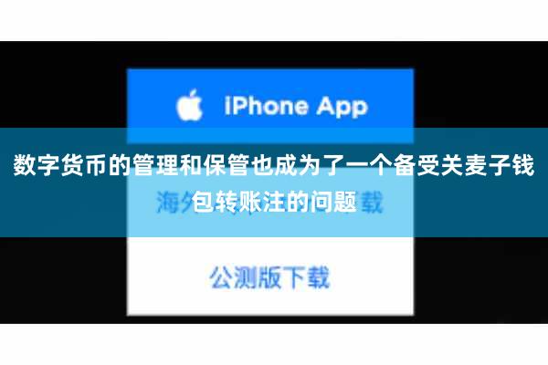 数字货币的管理和保管也成为了一个备受关麦子钱包转账注的问题