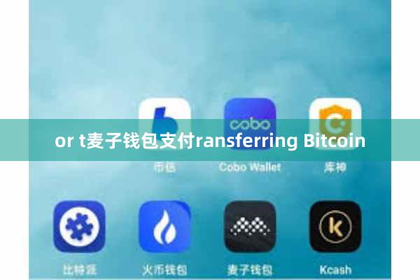 or t麦子钱包支付ransferring Bitcoin