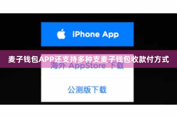麦子钱包APP还支持多种支麦子钱包收款付方式