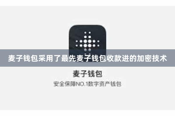 麦子钱包采用了最先麦子钱包收款进的加密技术
