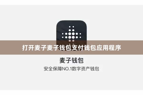 打开麦子麦子钱包支付钱包应用程序