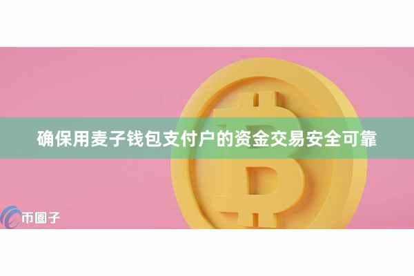 确保用麦子钱包支付户的资金交易安全可靠