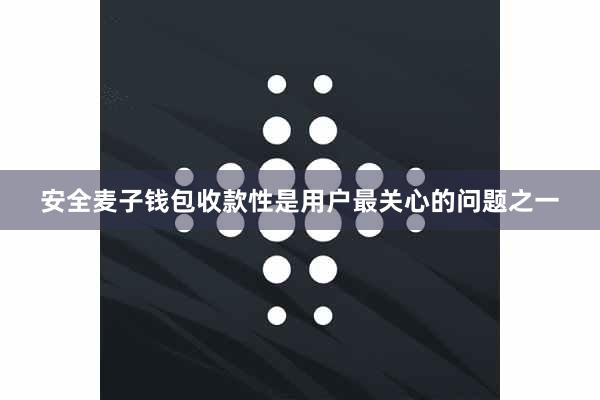 安全麦子钱包收款性是用户最关心的问题之一