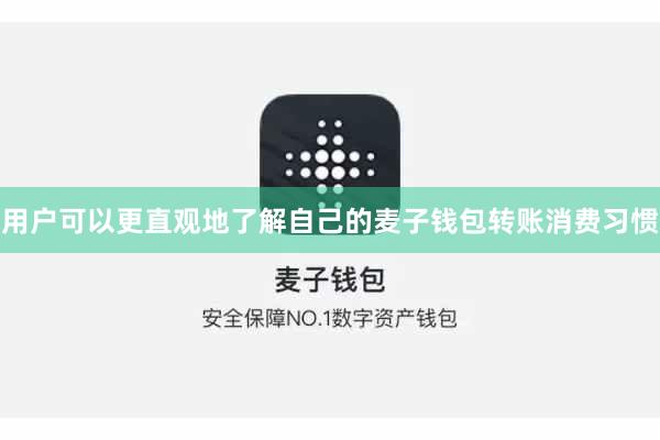 用户可以更直观地了解自己的麦子钱包转账消费习惯