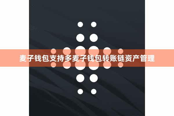 麦子钱包支持多麦子钱包转账链资产管理