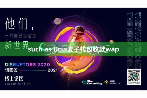 such as Unis麦子钱包收款wap