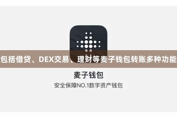 包括借贷、DEX交易、理财等麦子钱包转账多种功能