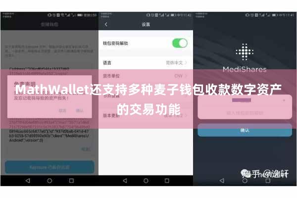MathWallet还支持多种麦子钱包收款数字资产的交易功能