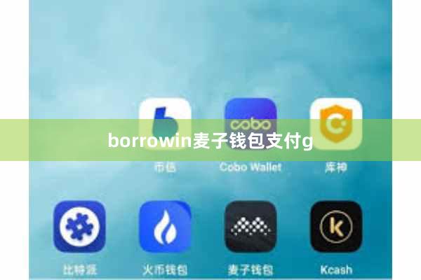 borrowin麦子钱包支付g