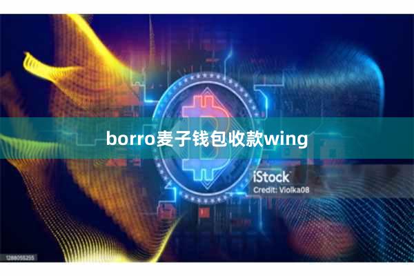 borro麦子钱包收款wing