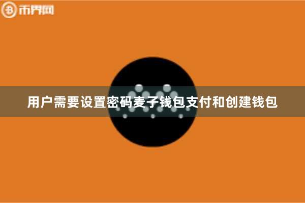 用户需要设置密码麦子钱包支付和创建钱包