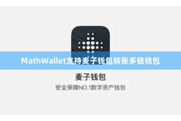 MathWallet支持麦子钱包转账多链钱包