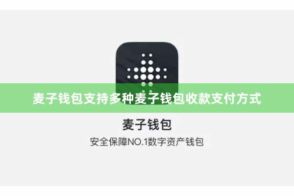 麦子钱包支持多种麦子钱包收款支付方式