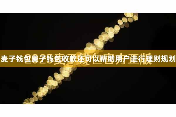 麦子钱包麦子钱包收款还可以帮助用户进行理财规划