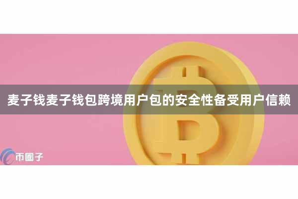 麦子钱麦子钱包跨境用户包的安全性备受用户信赖