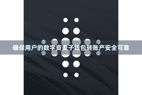 确保用户的数字资麦子钱包转账产安全可靠