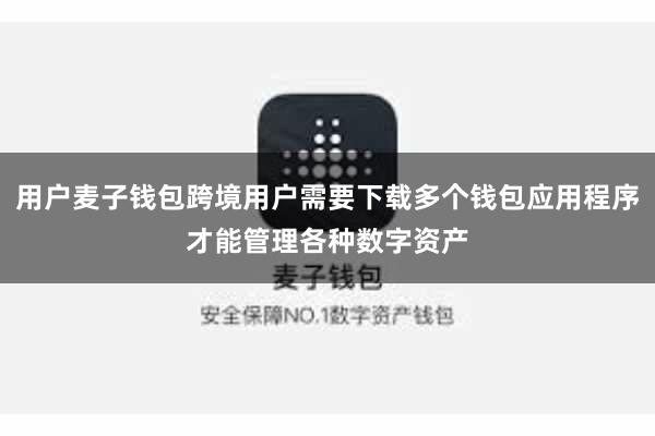 用户麦子钱包跨境用户需要下载多个钱包应用程序才能管理各种数字资产