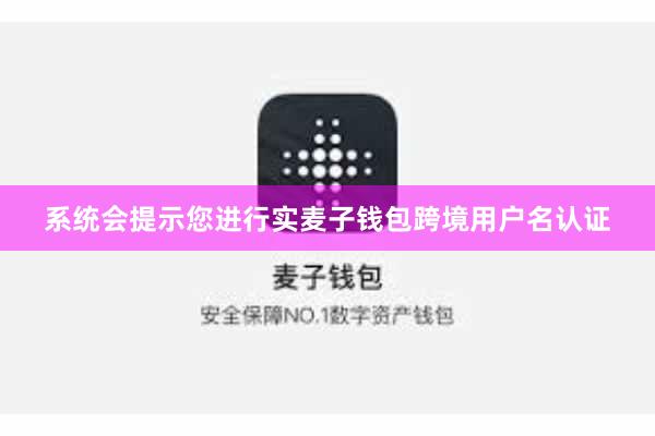 系统会提示您进行实麦子钱包跨境用户名认证