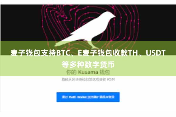 麦子钱包支持BTC、E麦子钱包收款TH、USDT等多种数字货币